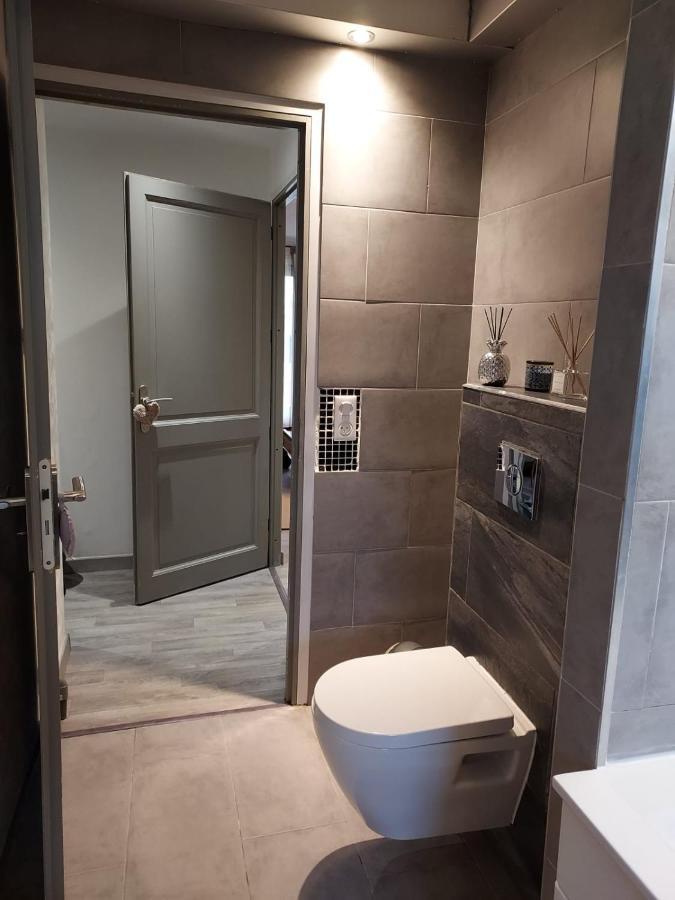 Apartment Du Vieux Chateau Jardin & Parking Gratuit Mulhouse