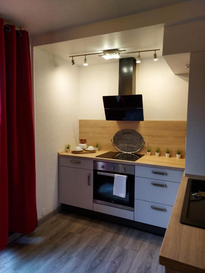 Du Vieux Chateau Jardin & Parking Gratuit Apartment *