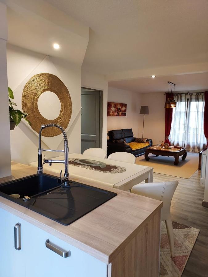 Apartment Du Vieux Chateau Jardin & Parking Gratuit